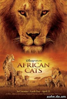Африканские кошки: Королевство смелости